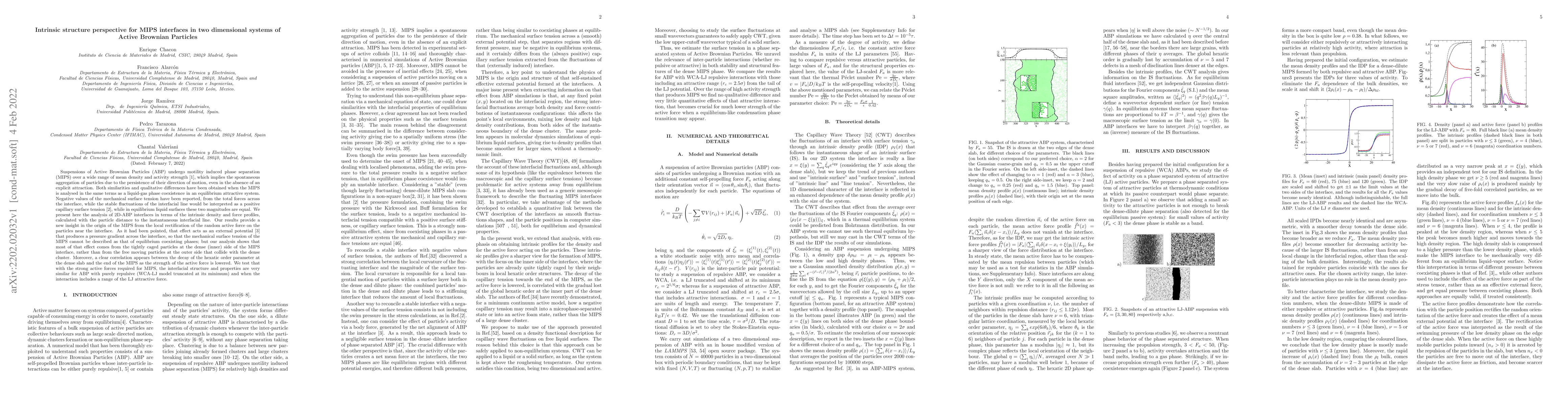 Thumbnail for Intrinsic structure perspective for MIPS interfaces in two dimensional
  systems of Active Brownian Particles