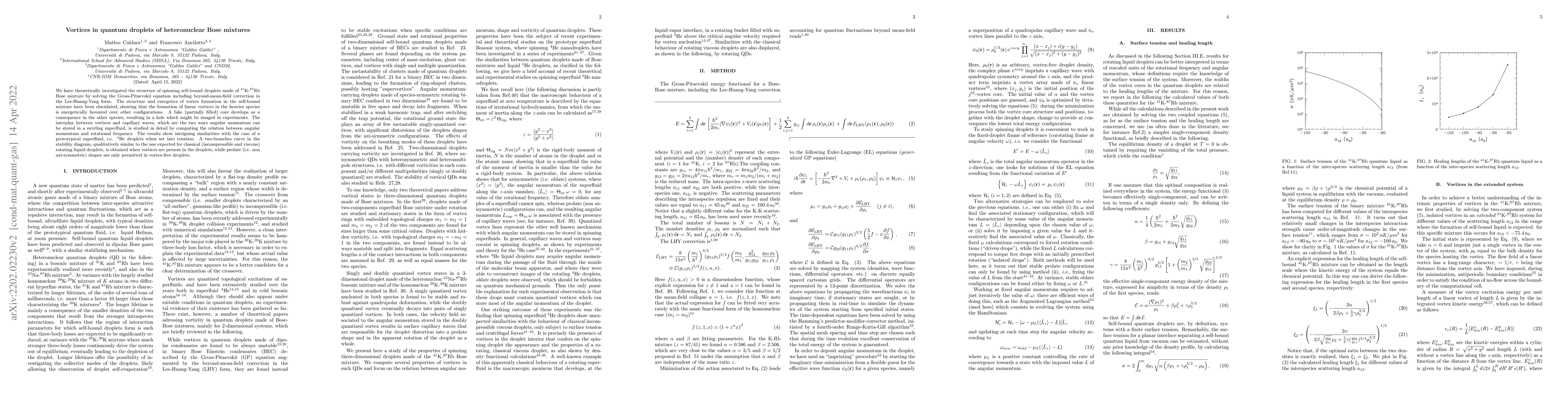Thumbnail for Vortices in quantum droplets of heteronuclear Bose mixtures