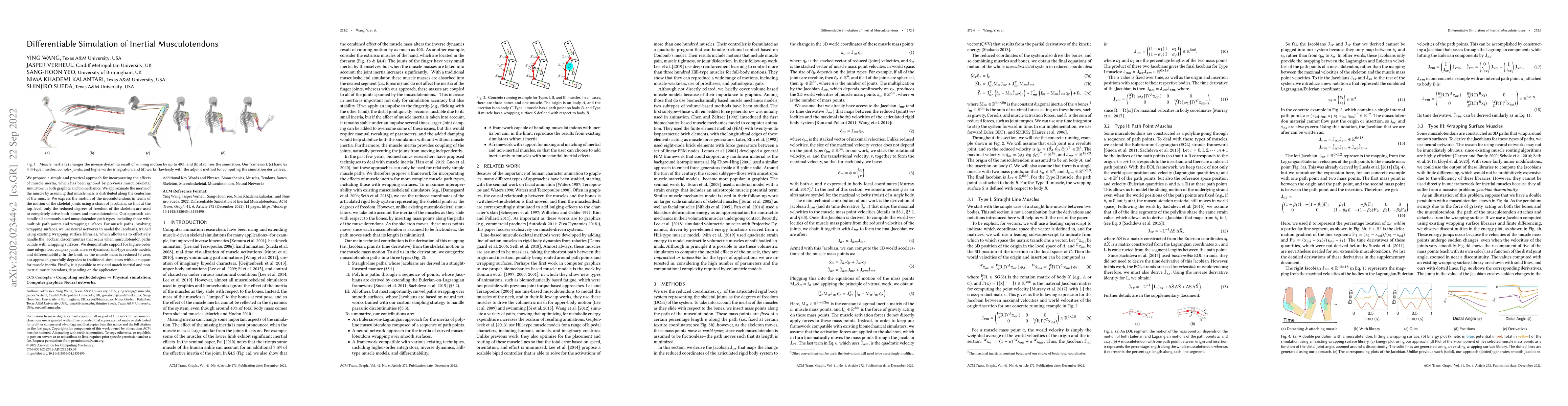 Thumbnail for Differentiable Simulation of Inertial Musculotendons