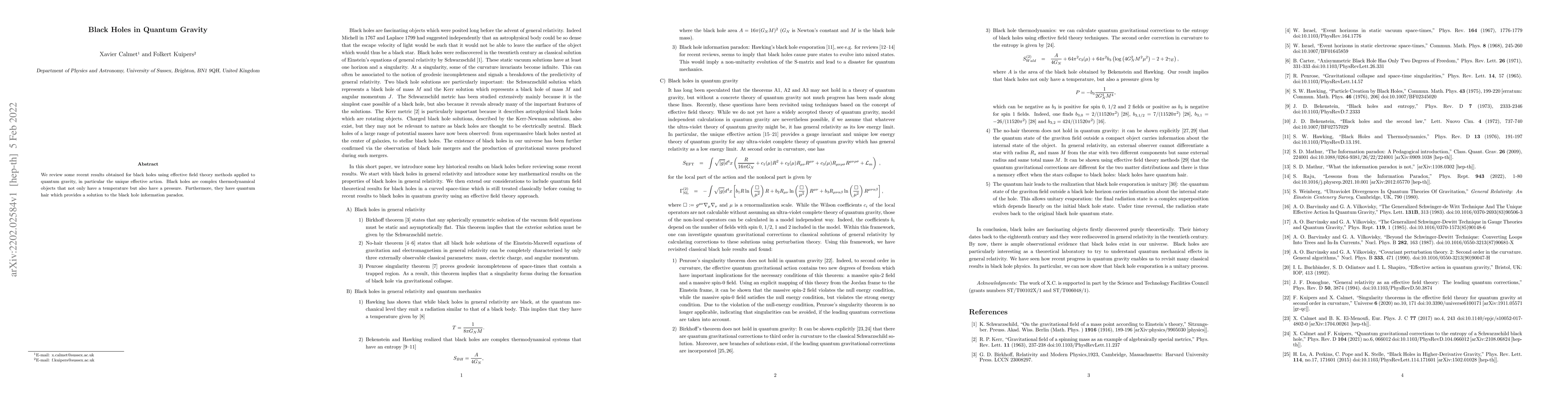 Thumbnail for Black Holes in Quantum Gravity