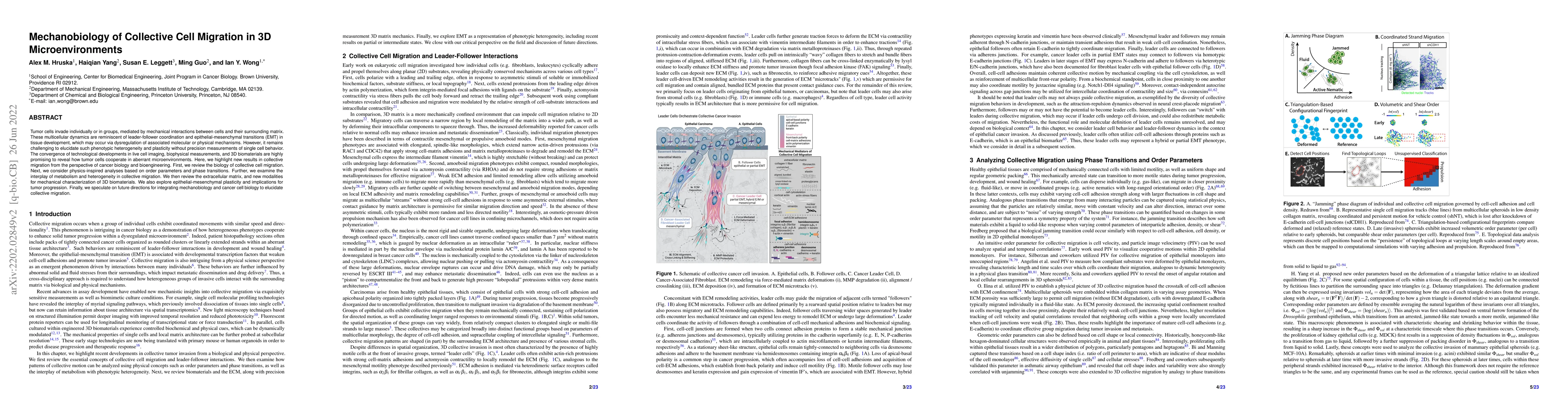 Thumbnail for Mechanobiology of Collective Cell Migration in 3D Microenvironments