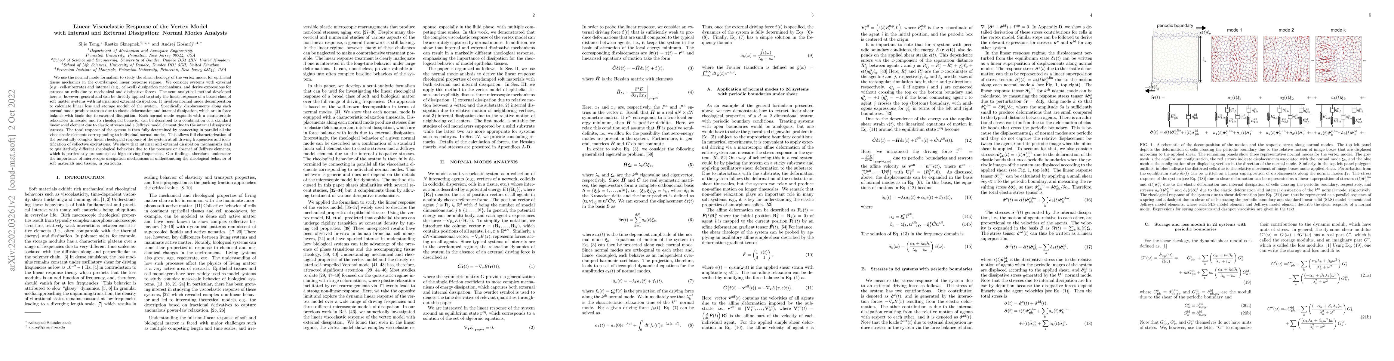 Thumbnail for Linear Viscoelastic Response of the Vertex Model with Internal and
  External Dissipation: Normal Modes Analysis