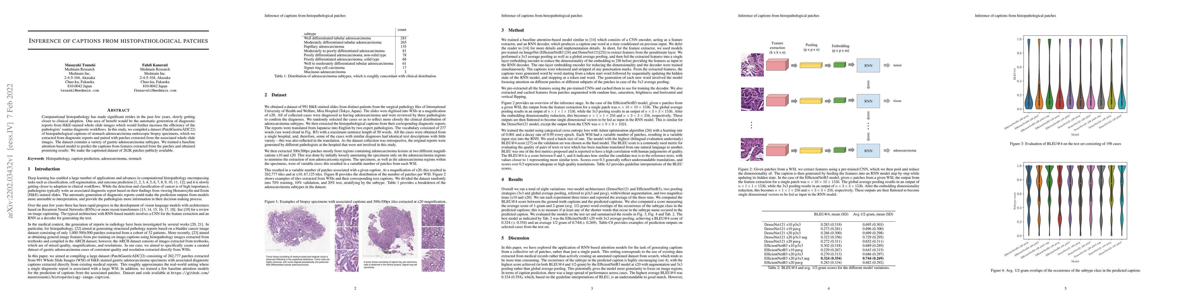Thumbnail for Inference of captions from histopathological patches