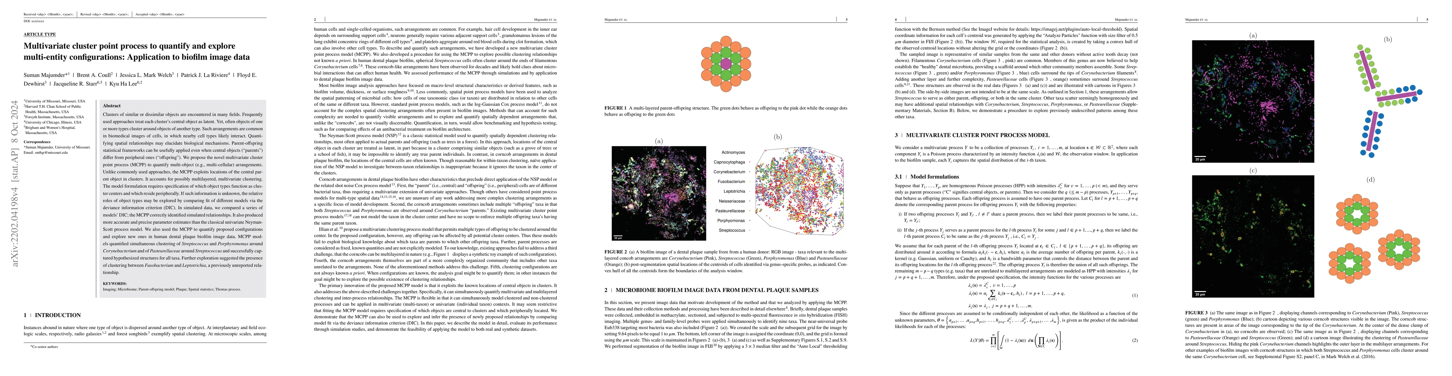 Thumbnail for Multivariate cluster point process to quantify and explore multi-entity
  configurations: Application to biofilm image data