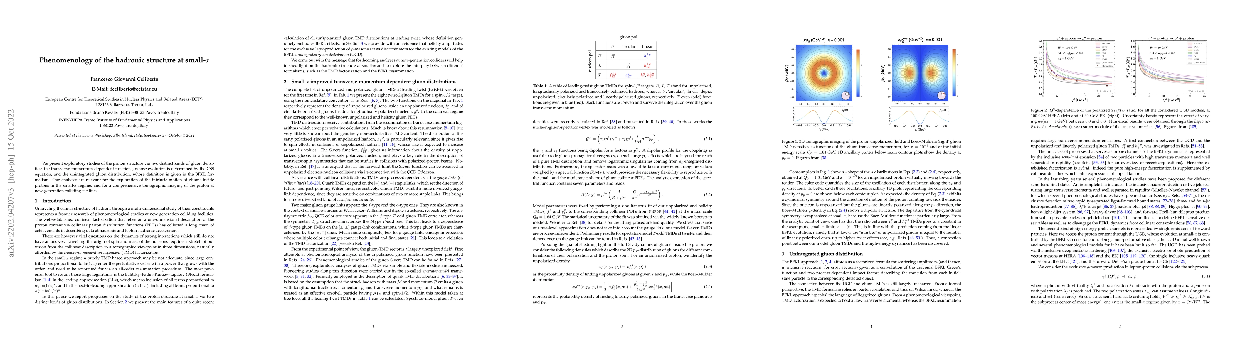 Thumbnail for Phenomenology of the hadronic structure at small-$x$
