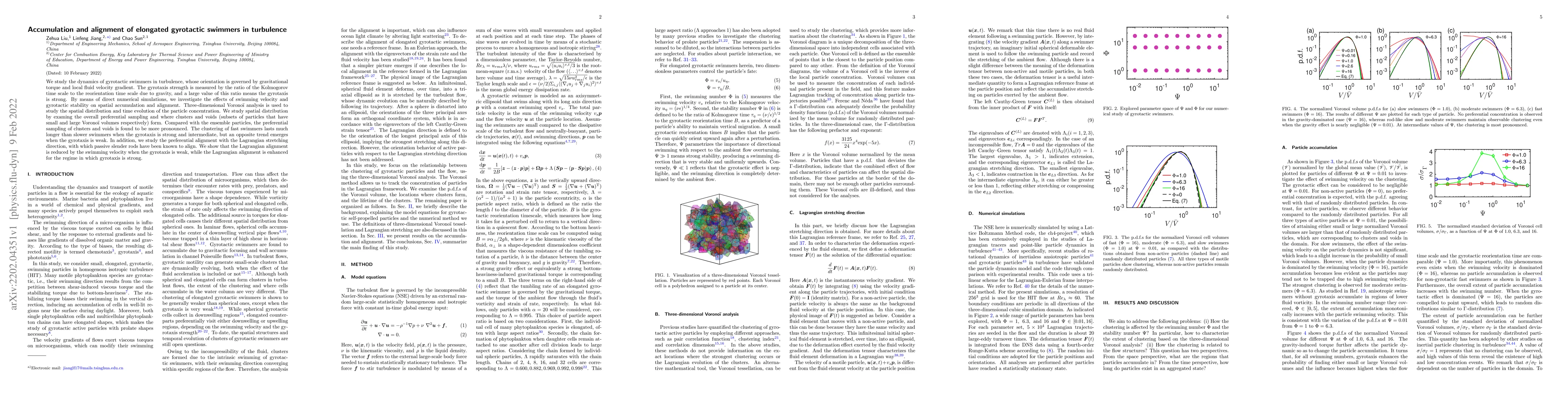 Thumbnail for Accumulation and alignment of elongated gyrotactic swimmers in
  turbulence