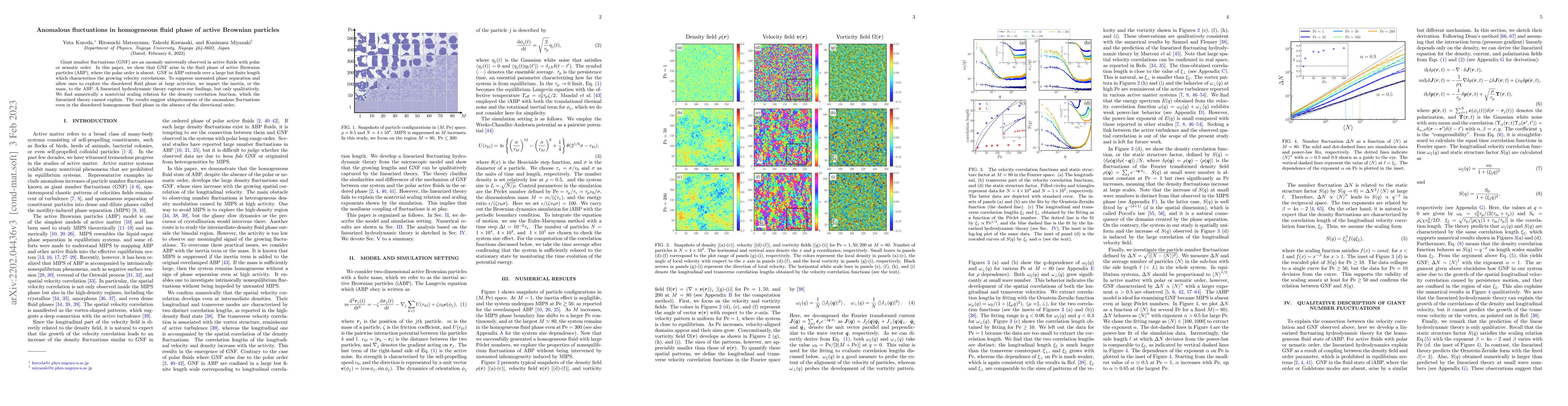 Thumbnail for Anomalous fluctuations in homogeneous fluid phase of active Brownian
  particles