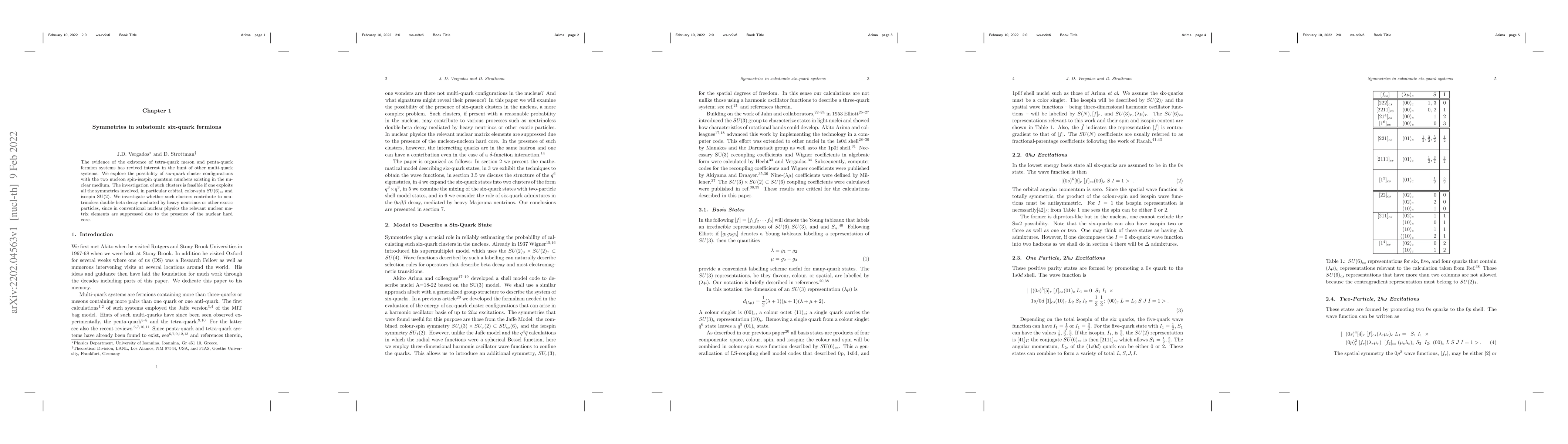 Thumbnail for Symmetries in subatomic six-quark fermions