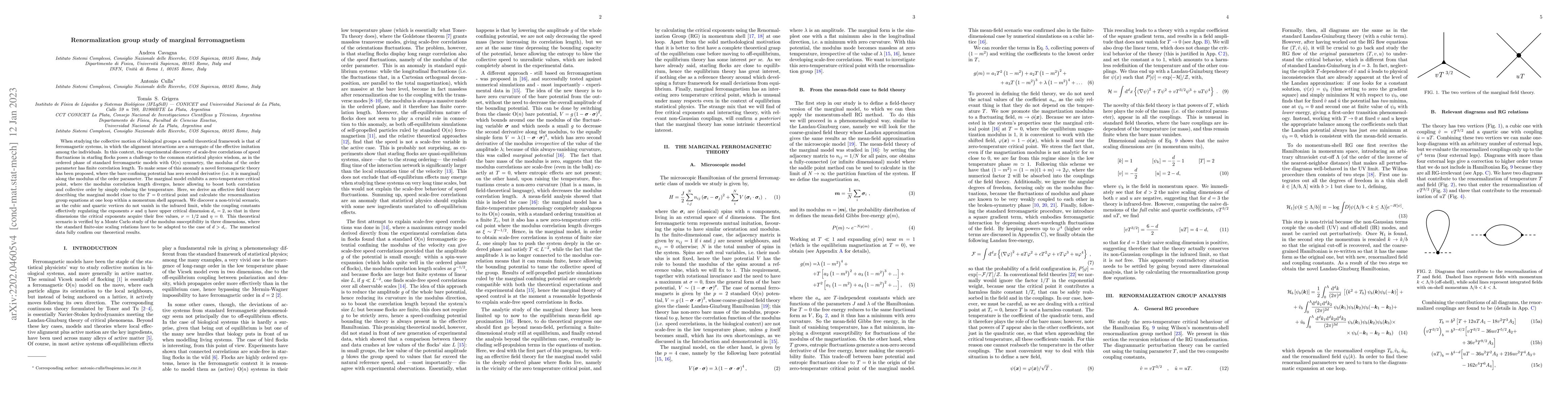 Thumbnail for Renormalization group study of marginal ferromagnetism