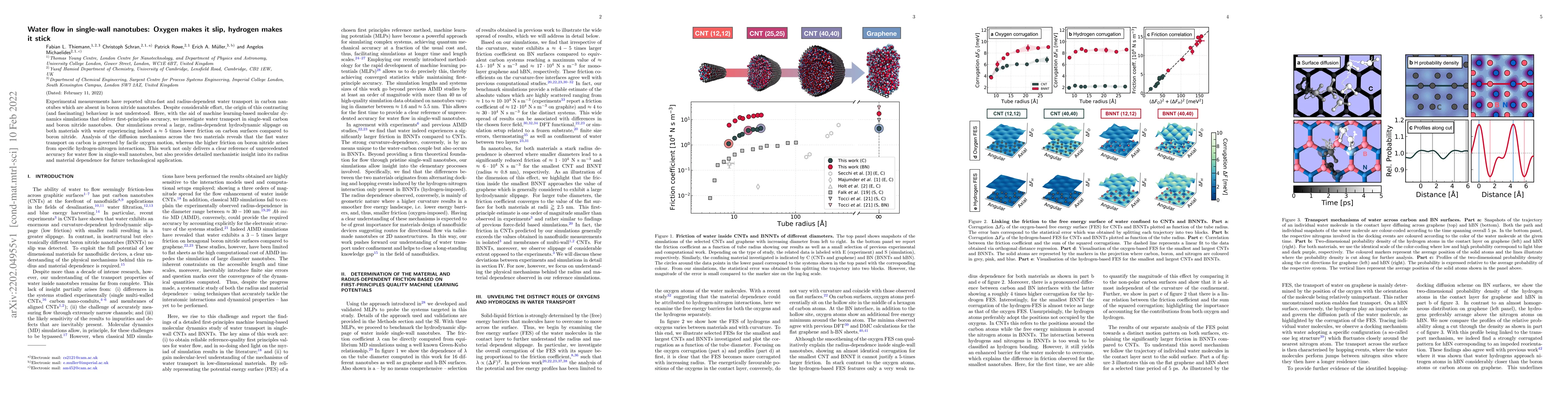 Thumbnail for Water flow in single-wall nanotubes: Oxygen makes it slip, hydrogen
  makes it stick