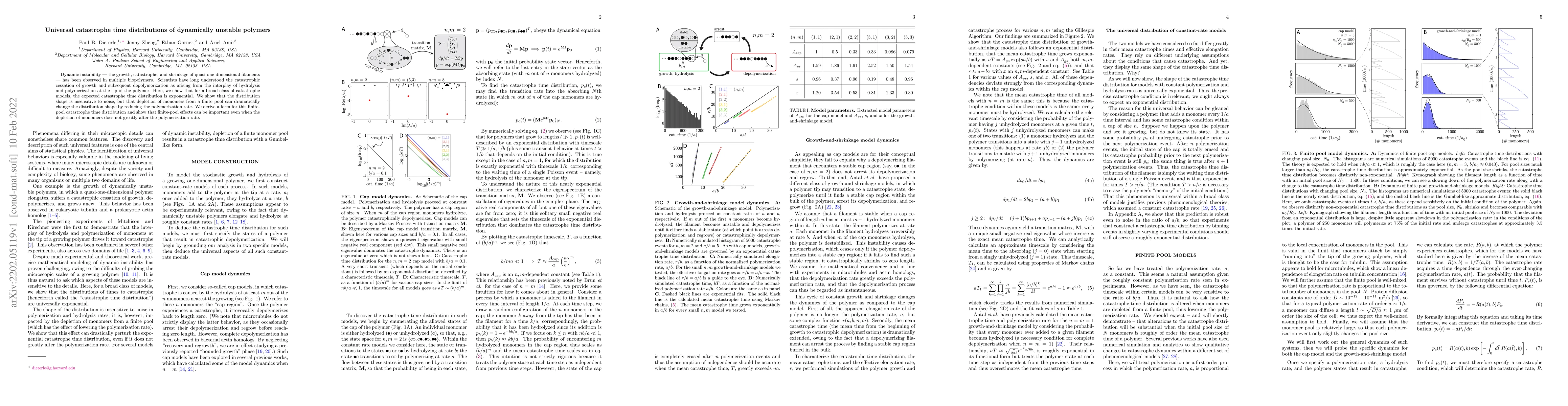 Thumbnail for Universal catastrophe time distributions of dynamically unstable
  polymers