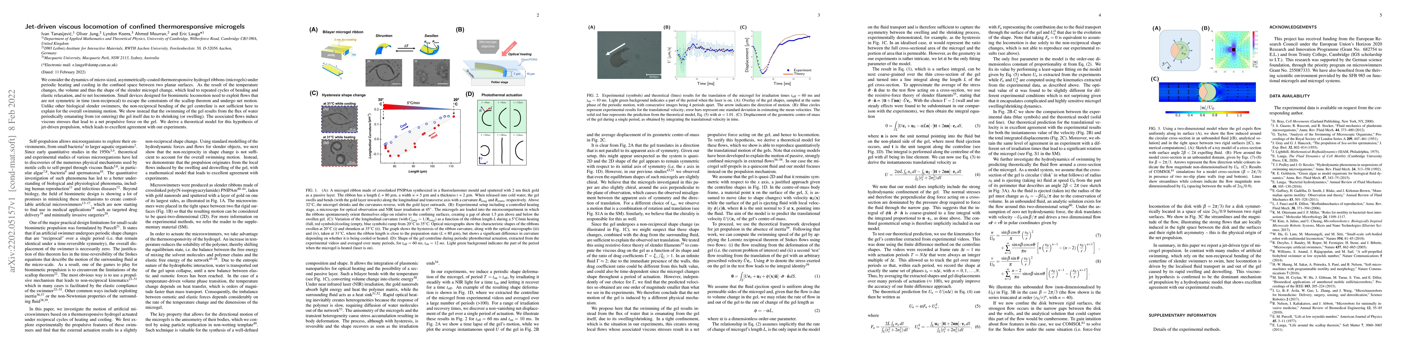 Thumbnail for Jet-driven viscous locomotion of confined thermoresponsive microgels
