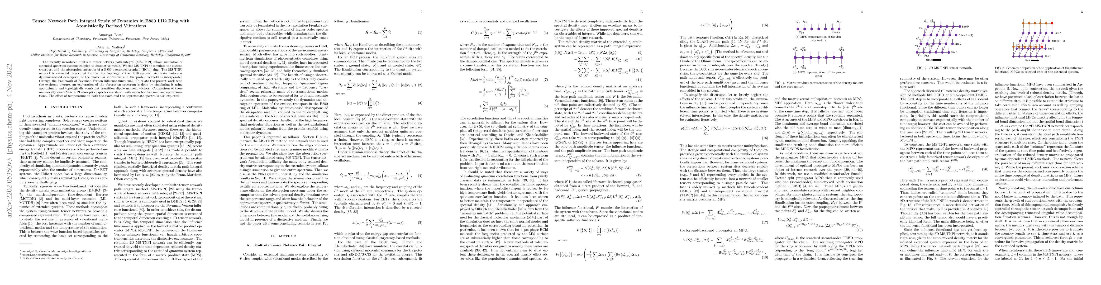 Thumbnail for Tensor Network Path Integral Study of Dynamics in B850 LH2 Ring with
  Atomistically Derived Vibrations