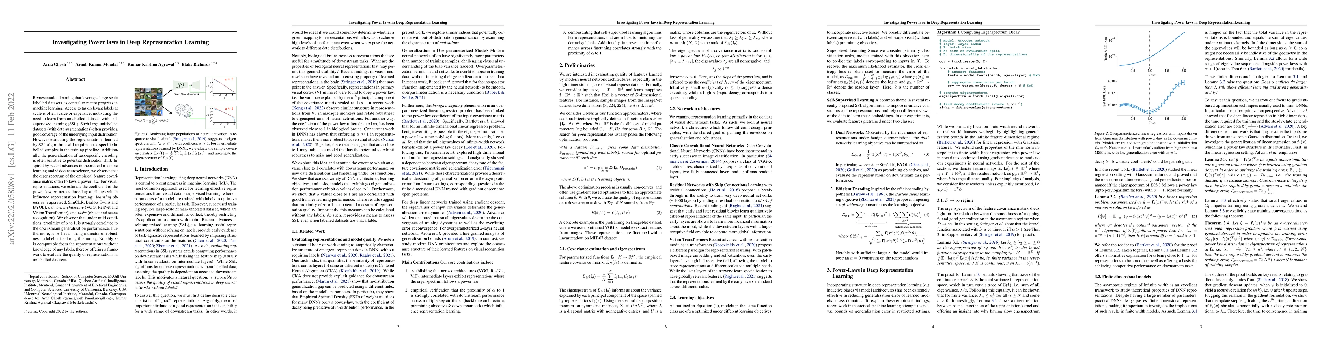 Thumbnail for Investigating Power laws in Deep Representation Learning