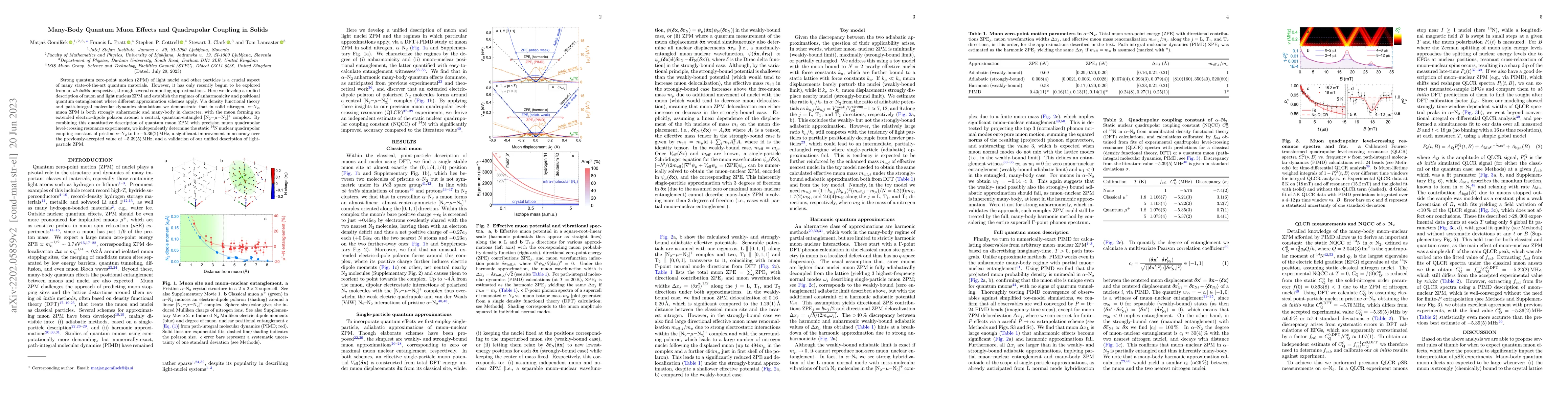Thumbnail for Many-Body Quantum Muon Effects and Quadrupolar Coupling in Solids