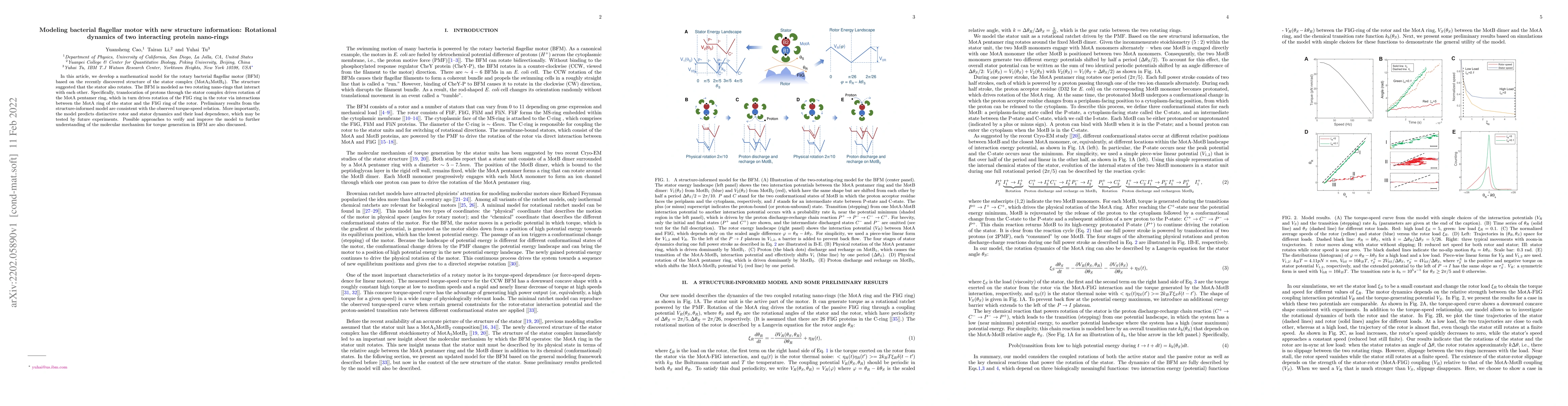 Thumbnail for Modeling bacterial flagellar motor with new structure information:
  Rotational dynamics of two interacting protein nano-rings