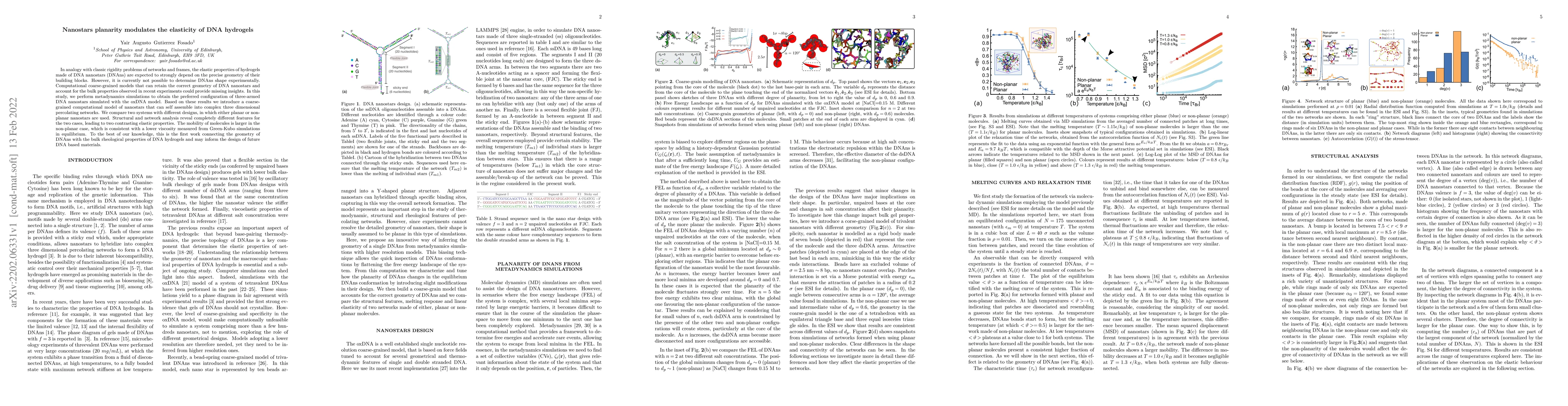 Thumbnail for Nanostars planarity modulates the elasticity of DNA hydrogels