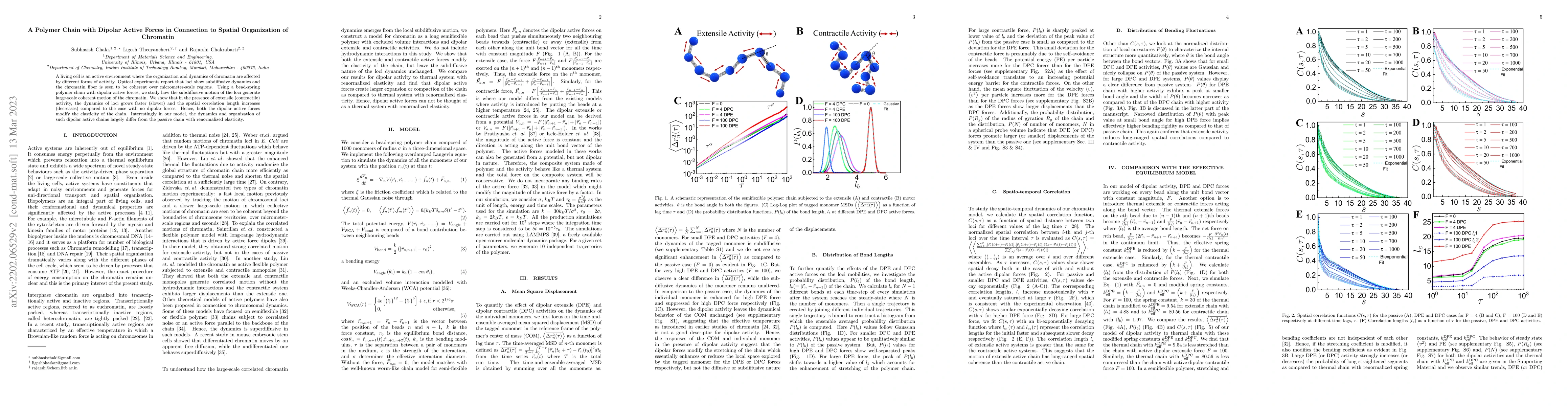 Thumbnail for A Polymer Chain with Dipolar Active Forces in Connection to Spatial
  Organization of Chromatin