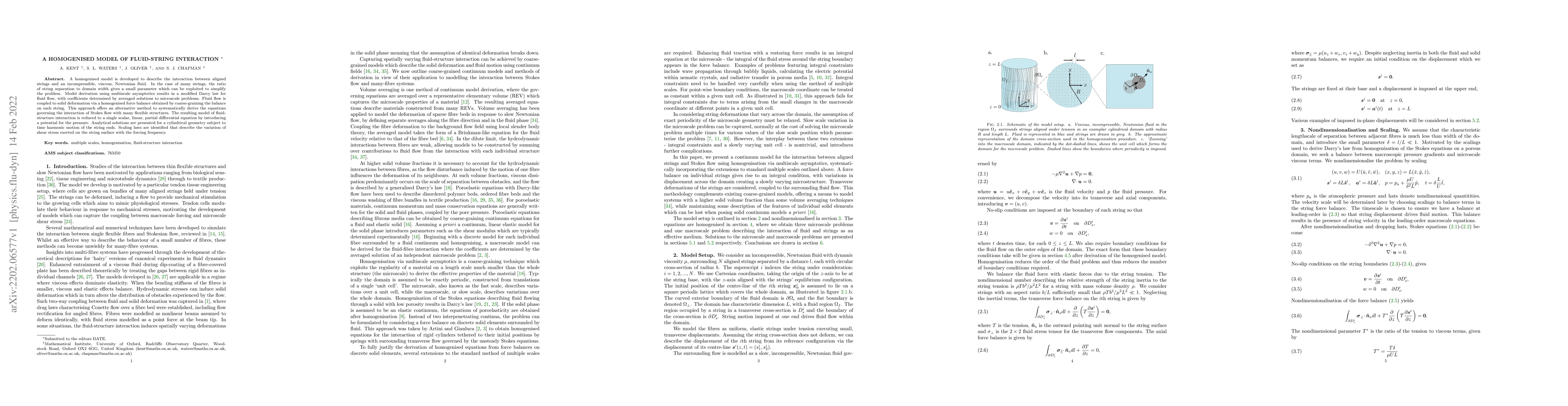 Thumbnail for A Homogenised Model of Fluid-String Interaction