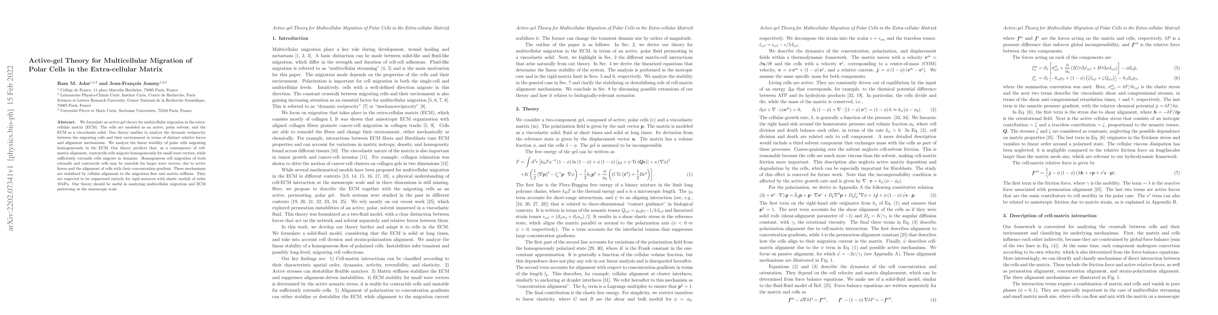 Thumbnail for Active-gel Theory for Multicellular Migration of Polar Cells in the
  Extra-cellular Matrix