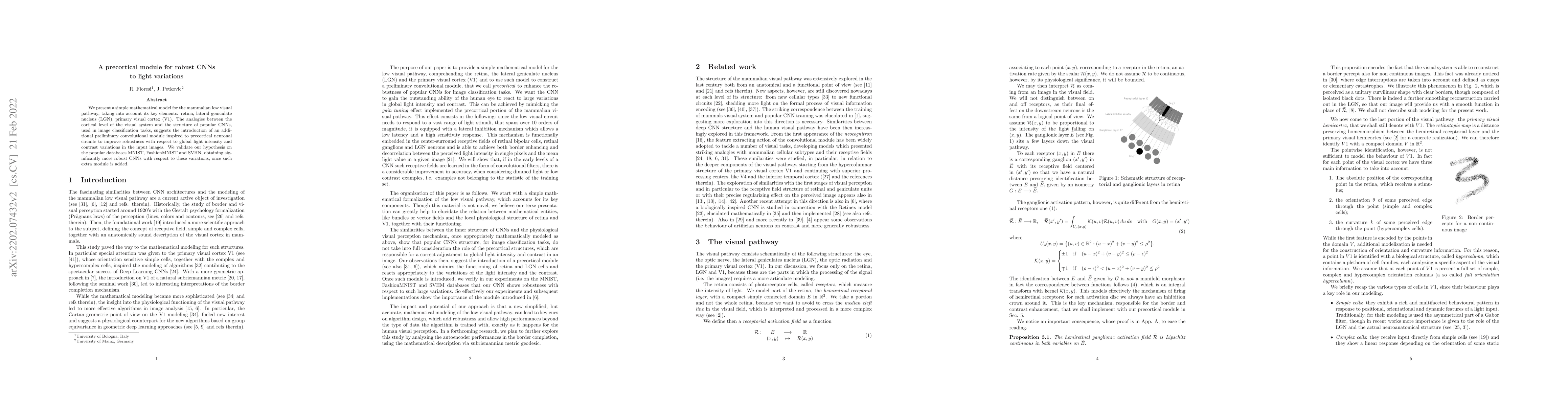 Thumbnail for A precortical module for robust CNNs to light variations