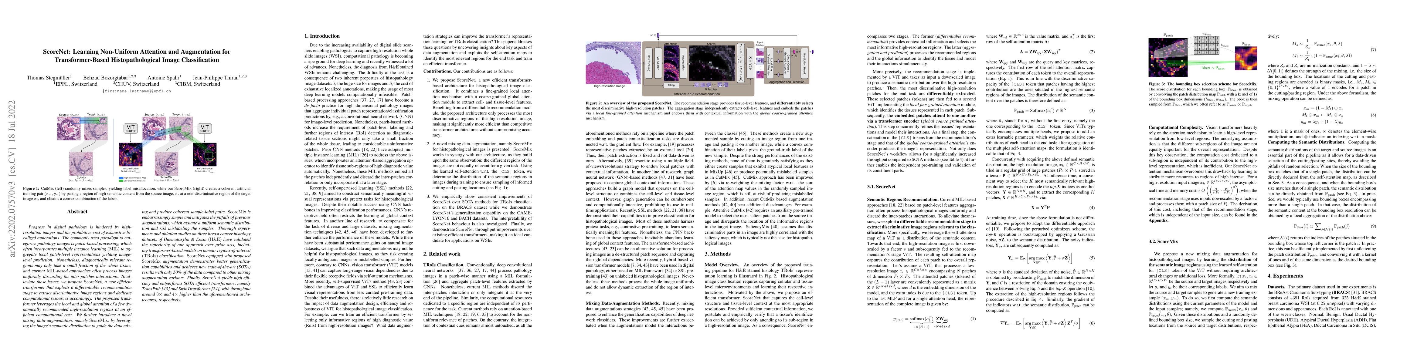 Thumbnail for ScoreNet: Learning Non-Uniform Attention and Augmentation for
  Transformer-Based Histopathological Image Classification