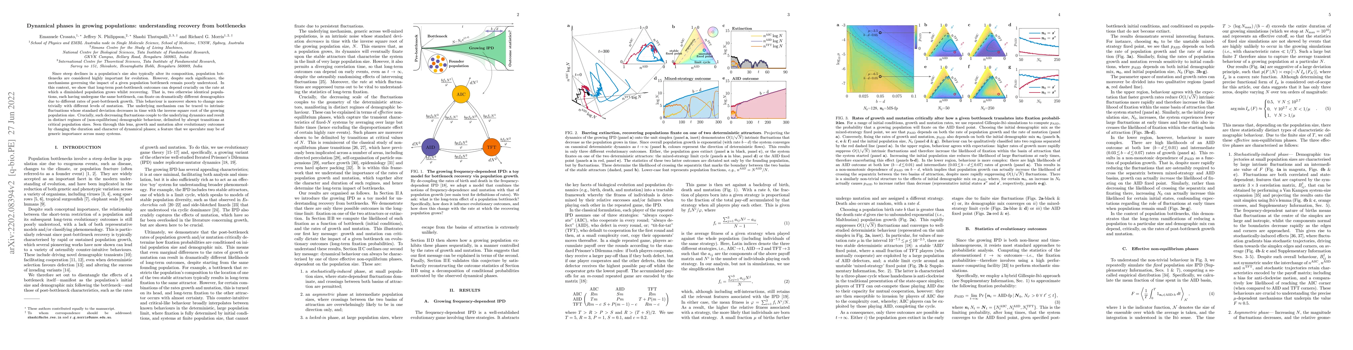 Thumbnail for Dynamical phases in growing populations: understanding recovery from
  bottlenecks