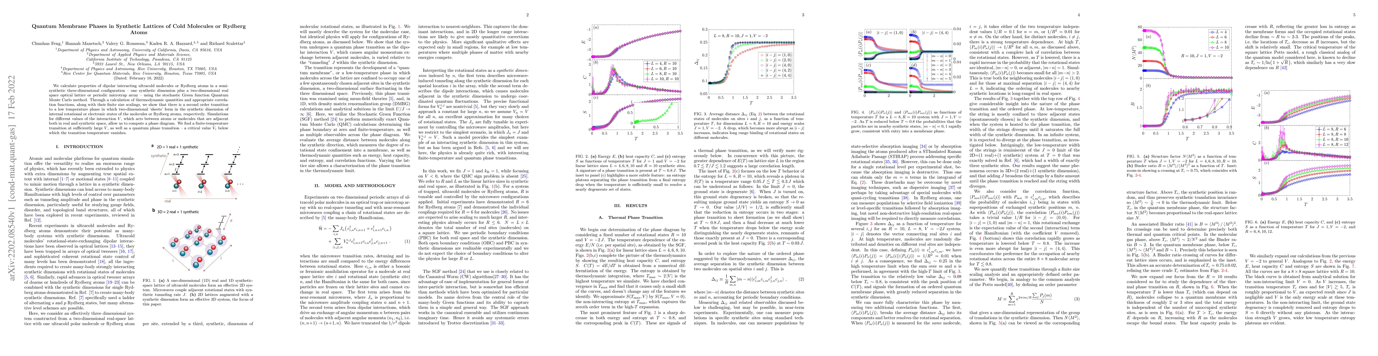 Thumbnail for Quantum Membrane Phases in Synthetic Lattices of Cold Molecules or
  Rydberg Atoms