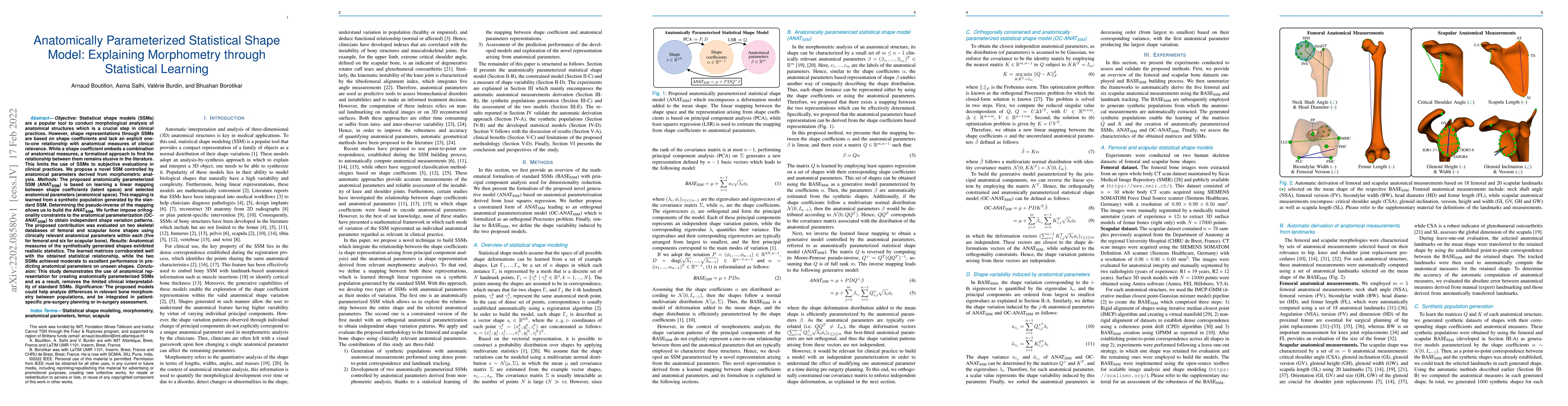 Thumbnail for Anatomically Parameterized Statistical Shape Model: Explaining
  Morphometry through Statistical Learning