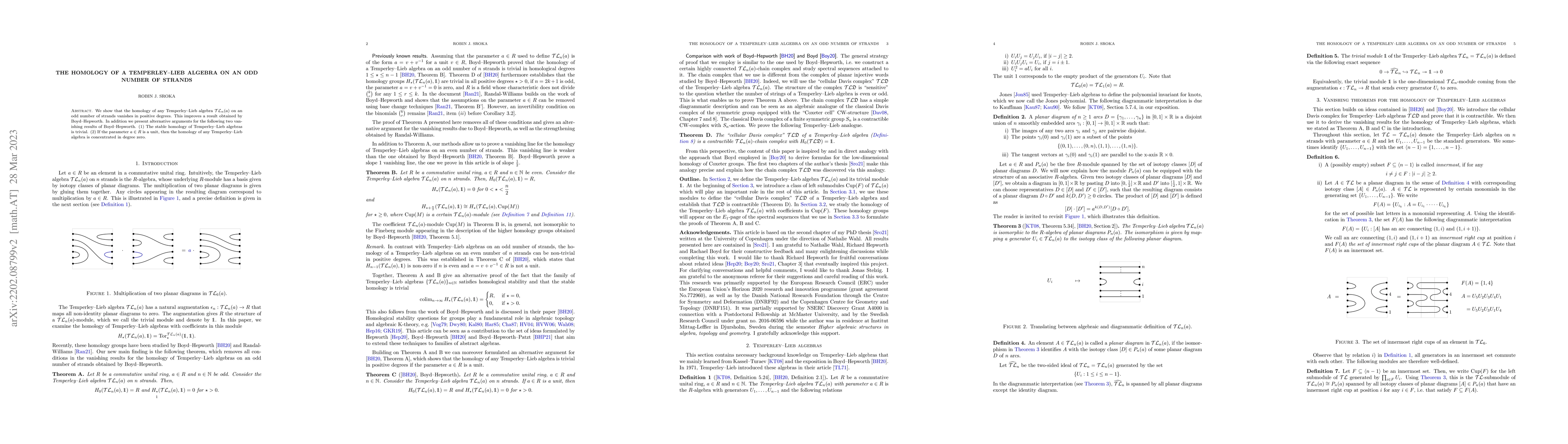Thumbnail for The homology of a Temperley-Lieb algebra on an odd number of strands