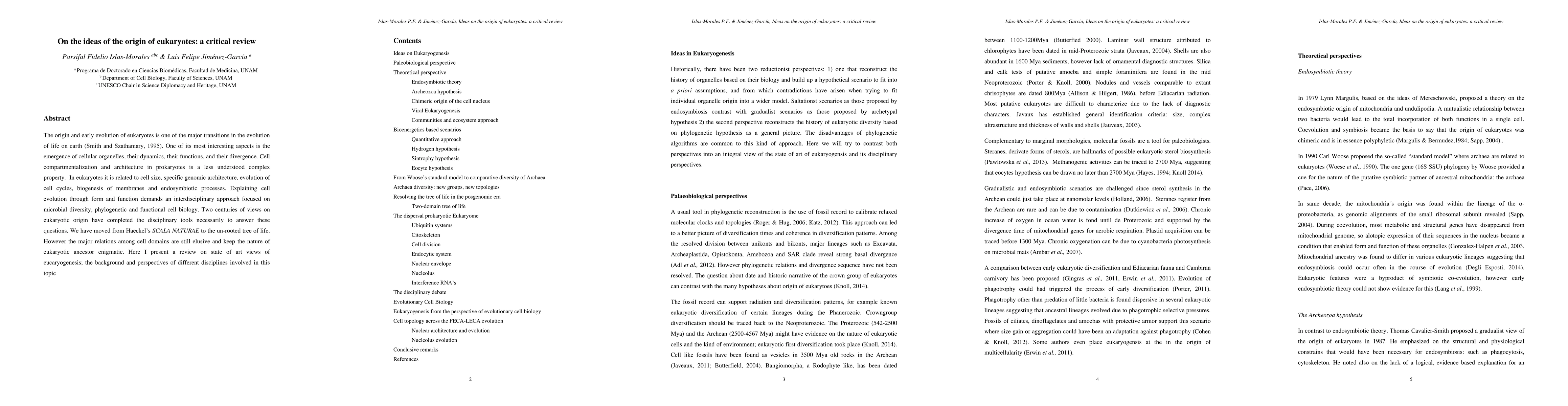Thumbnail for On the ideas of the origin of eukaryotes: a critical review
