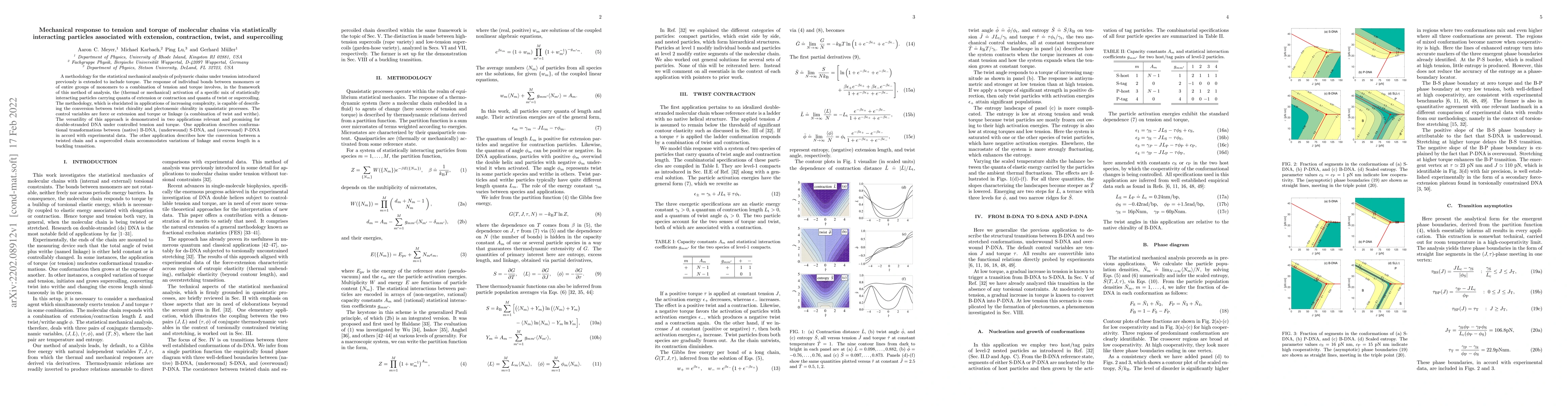 Thumbnail for Mechanical response to tension and torque of molecular chains via
  statistically interacting particles associated with extension, contraction,
  twist, and supercoiling