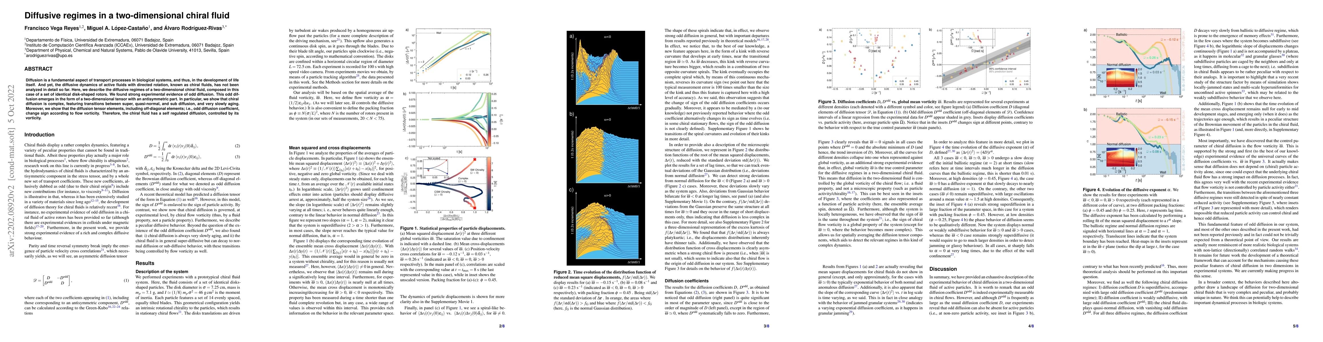 Thumbnail for Diffusive regimes in a two-dimensional chiral fluid