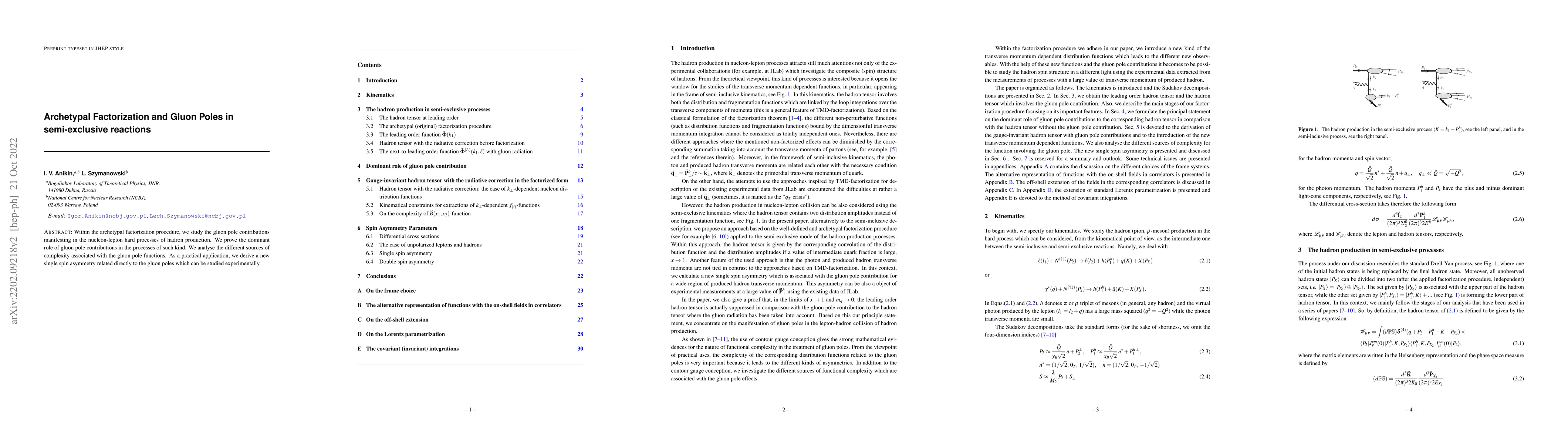 Thumbnail for Archetypal Factorization and Gluon Poles in semi-exclusive reactions