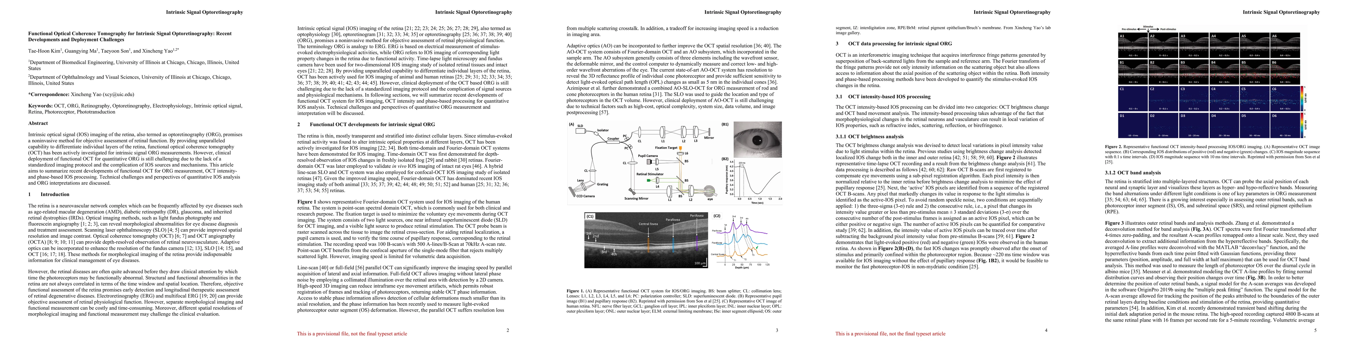 Thumbnail for Functional Optical Coherence Tomography for Intrinsic Signal
  Optoretinography: Recent Developments and Deployment Challenges