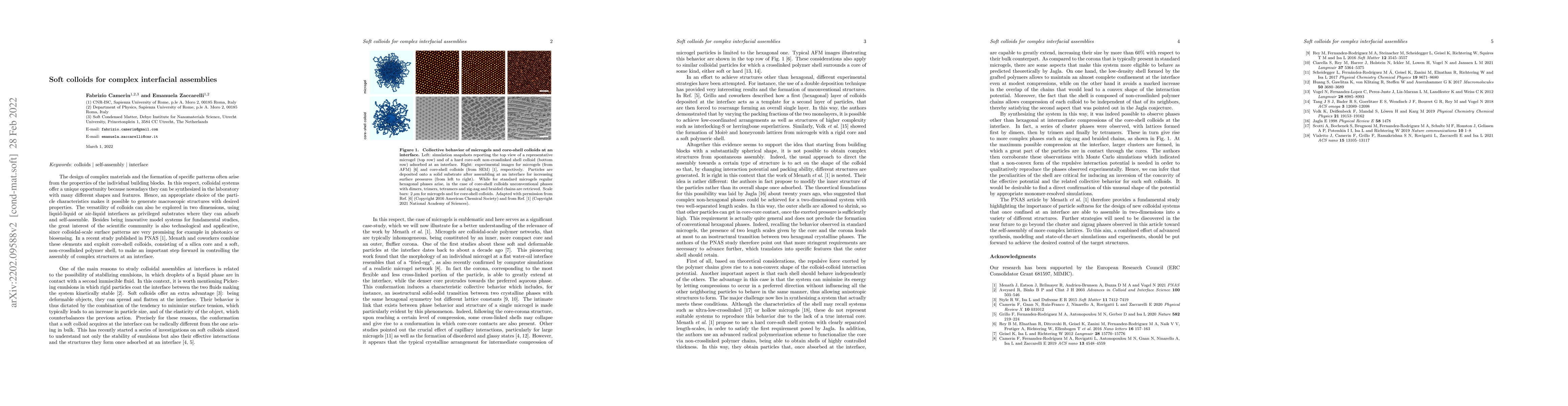 Thumbnail for Soft colloids for complex interfacial assemblies