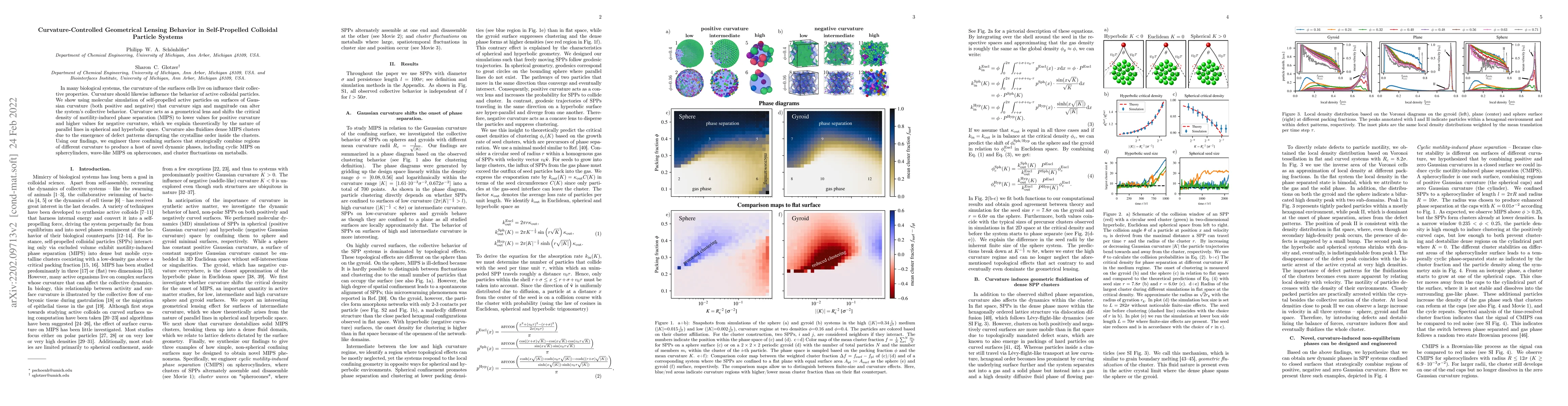 Thumbnail for Curvature-Controlled Geometrical Lensing Behavior in Self-Propelled
  Colloidal Particle Systems