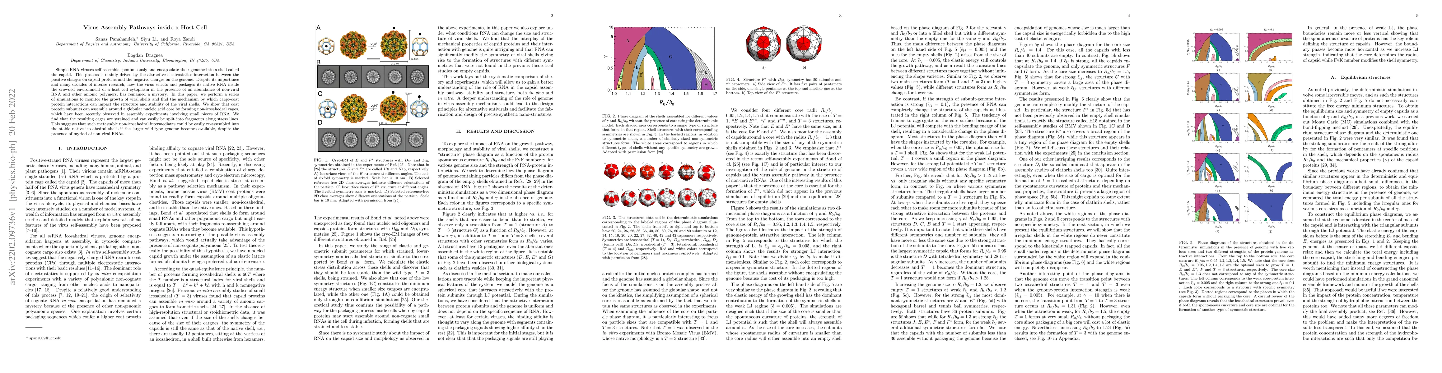 Thumbnail for Virus Assembly Pathways inside a Host Cell