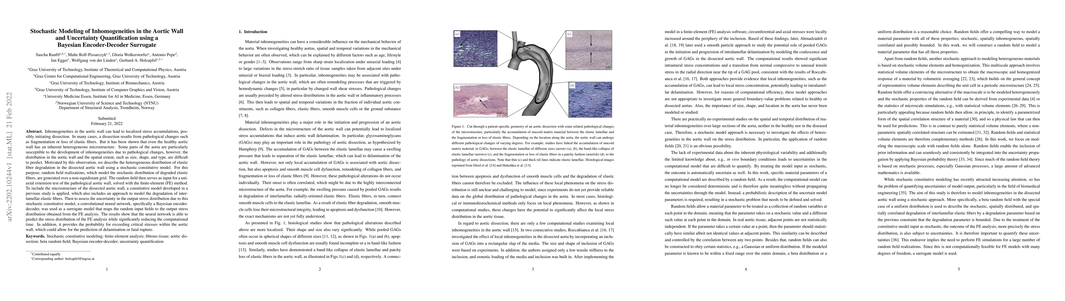 Thumbnail for Stochastic Modeling of Inhomogeneities in the Aortic Wall and
  Uncertainty Quantification using a Bayesian Encoder-Decoder Surrogate