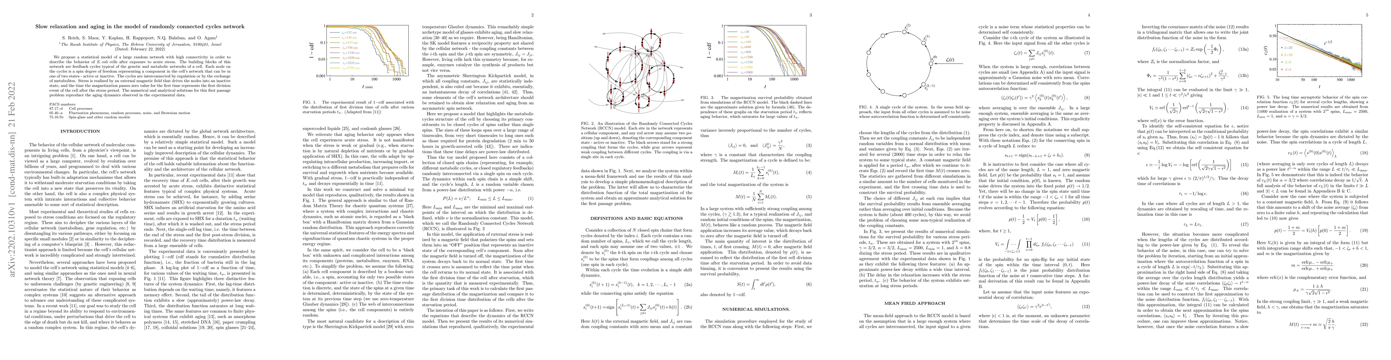 Thumbnail for Slow relaxation and aging in the model of randomly connected cycles
  network