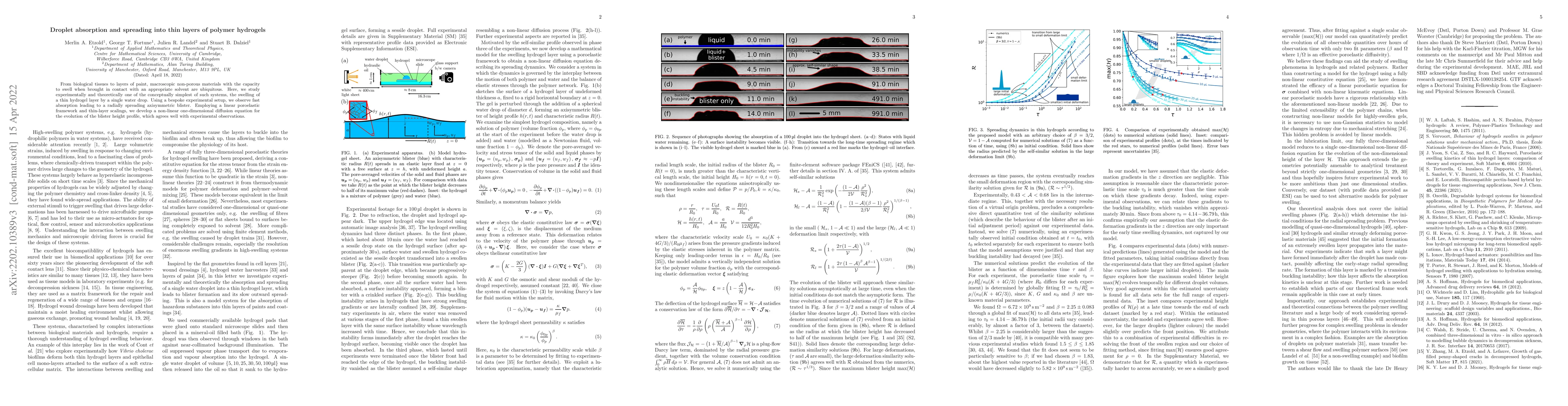Thumbnail for Droplet absorption and spreading into thin layers of polymer hydrogels