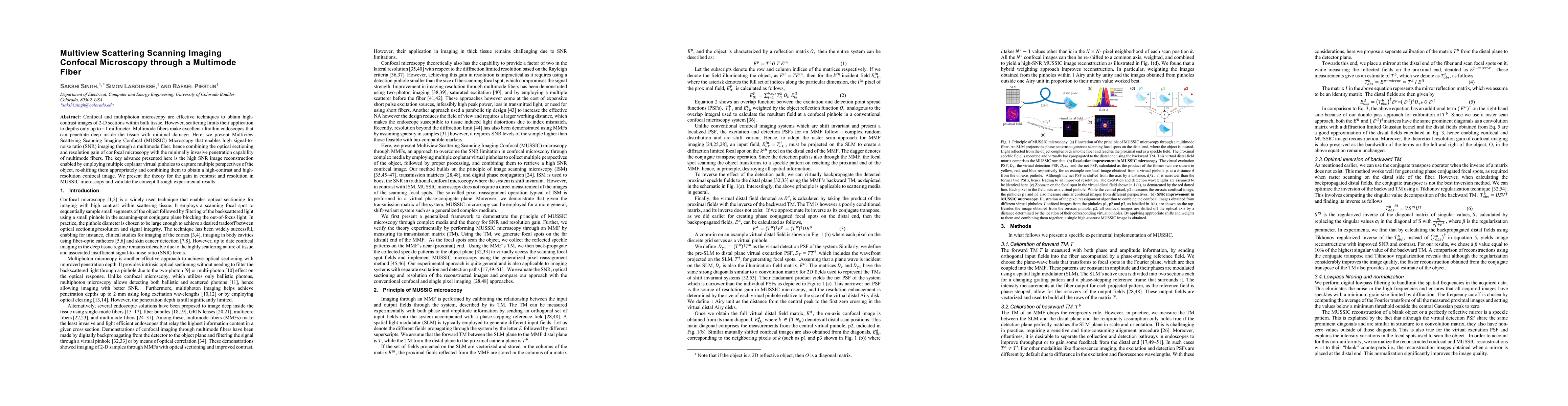 Thumbnail for Multiview Scattering Scanning Imaging Confocal Microscopy through a
  Multimode Fiber