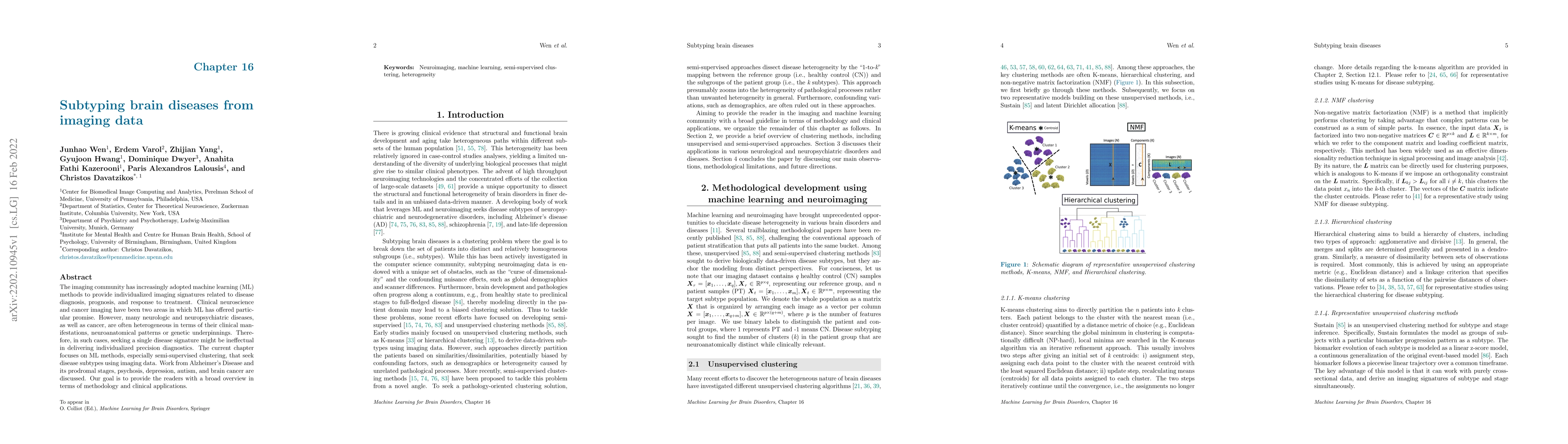Thumbnail for Subtyping brain diseases from imaging data