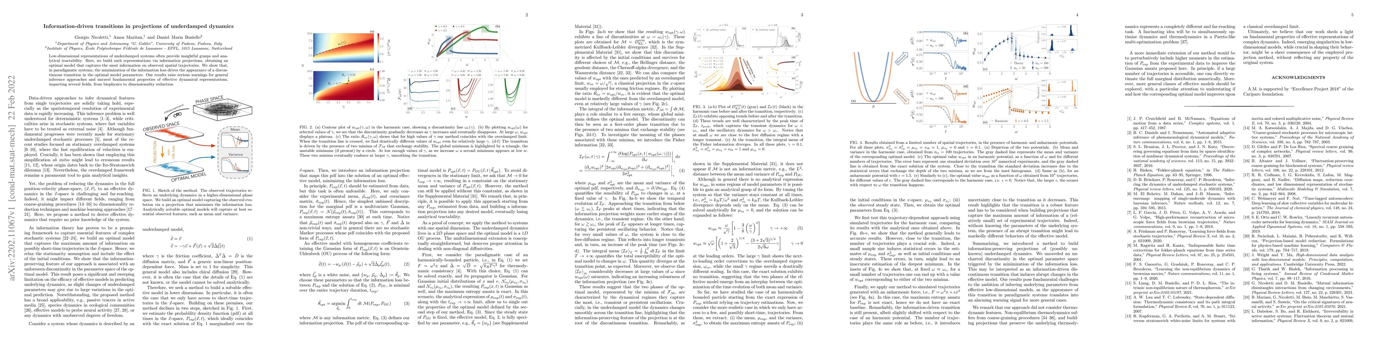Thumbnail for Information-driven transitions in projections of underdamped dynamics