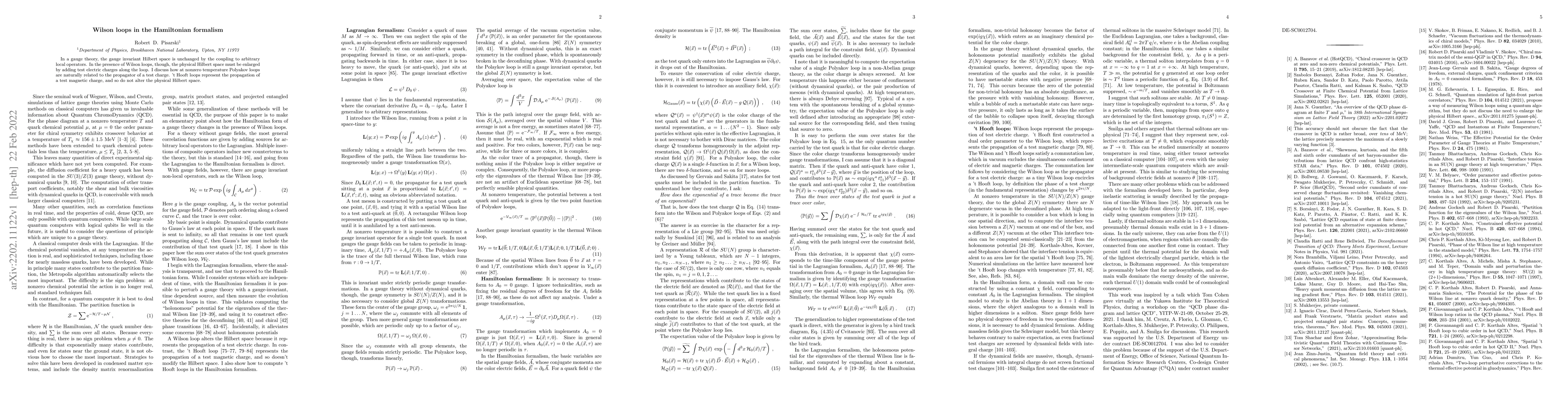 Thumbnail for Wilson loops in the Hamiltonian formalism