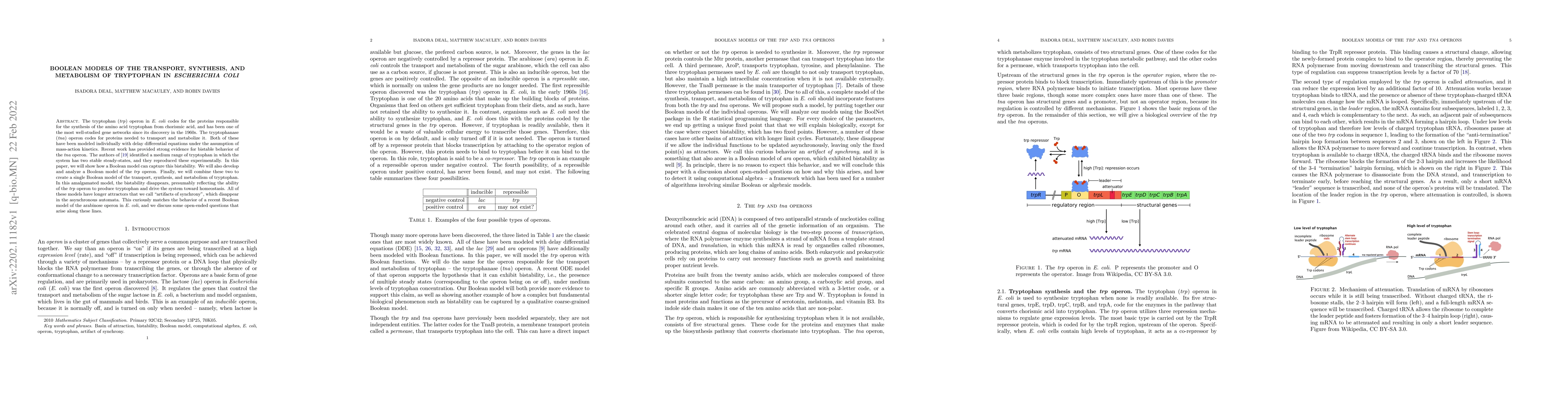 Thumbnail for Boolean models of the transport, synthesis, and metabolism of tryptophan
  in Escherichia Coli
