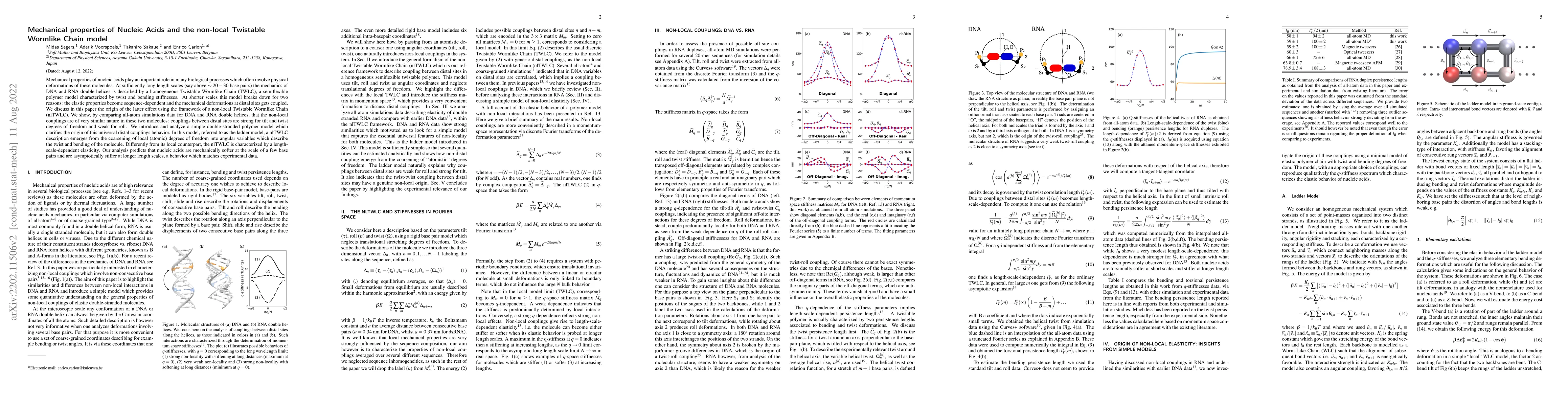 Thumbnail for Mechanical properties of Nucleic Acids and the non-local Twistable
  Wormlike Chain model
