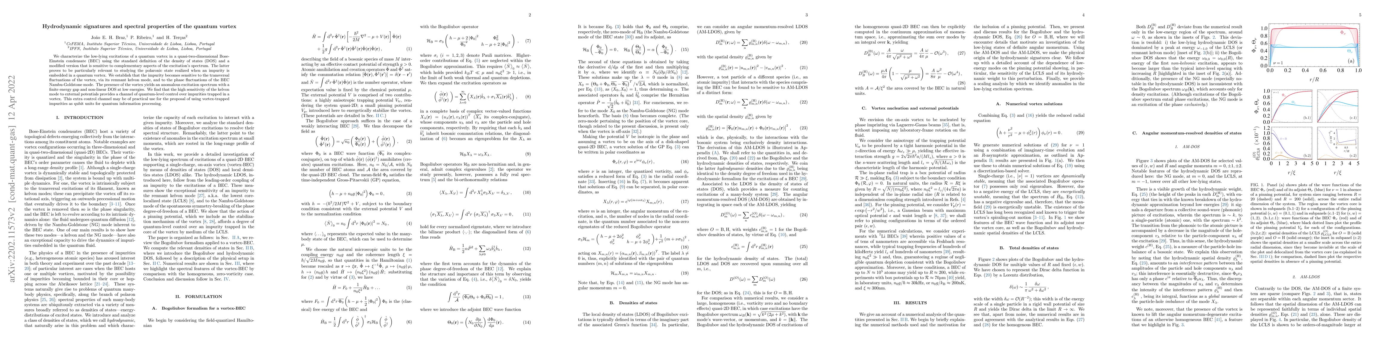 Thumbnail for Hydrodynamic signatures and spectral properties of the quantum vortex