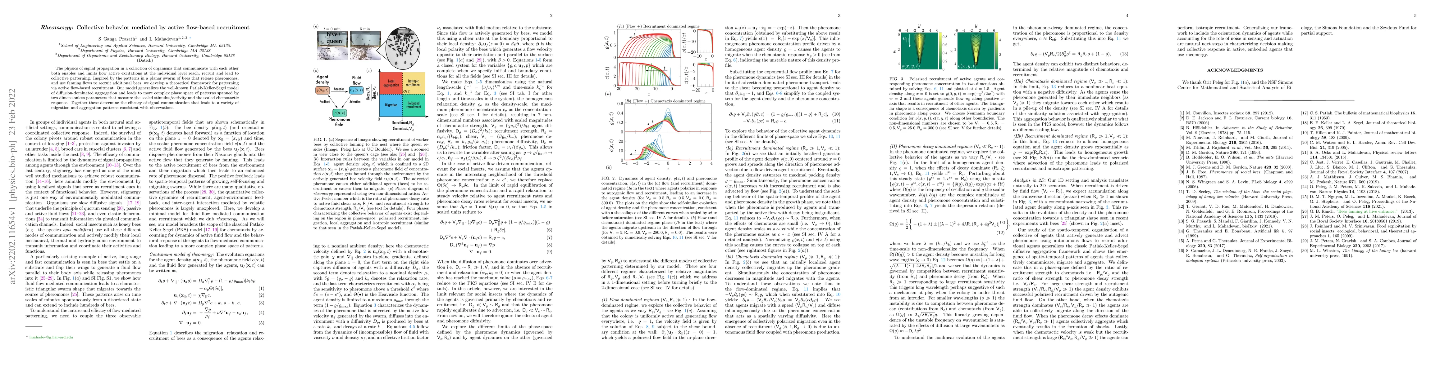 Thumbnail for $Rheomergy$: Collective behavior mediated by active flow-based
  recruitment