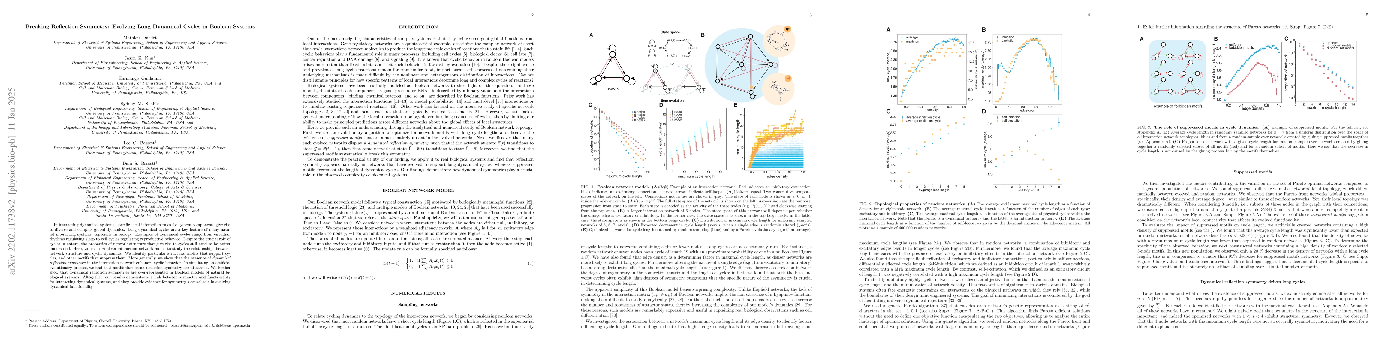 Thumbnail for Excitation and inhibition imbalance affects dynamical complexity through
  symmetries
